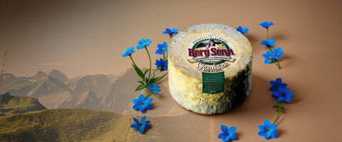 Almsommer in Tirol: Wenn die Wiese in den Käse kommt - TIROLISH